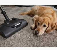 Miele Complete C1 Cat & Dog Canister Vacuum - Ballwinvacuum.com
