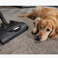 Miele Complete C1 Cat & Dog Canister Vacuum - Ballwinvacuum.com